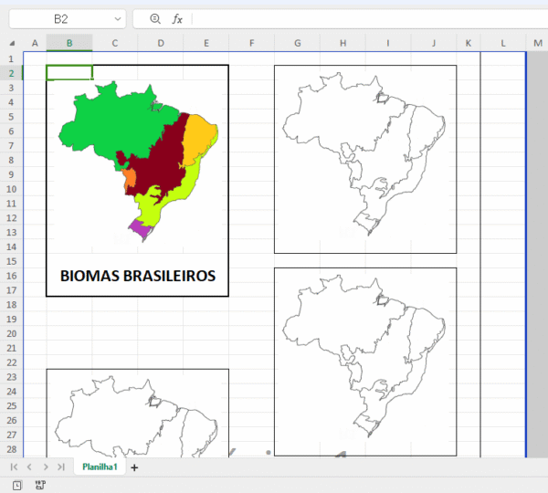 Lapbook dos Biomas Brasileiros 🏜️ - Imagem 2