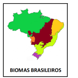 thumb lapbook biomas brasileiros